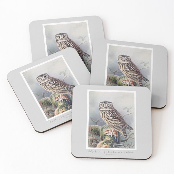 Item preview, Little Owl (Athene noctua) with Quote form Emerson designed and sold by TheCurators.
