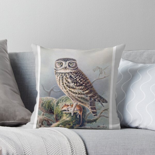 Item preview, Little Owl (Athene noctua) with Quote form Emerson designed and sold by TheCurators.