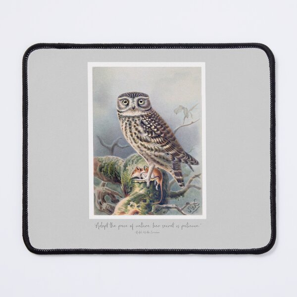 Item preview, Little Owl (Athene noctua) with Quote form Emerson designed and sold by TheCurators.