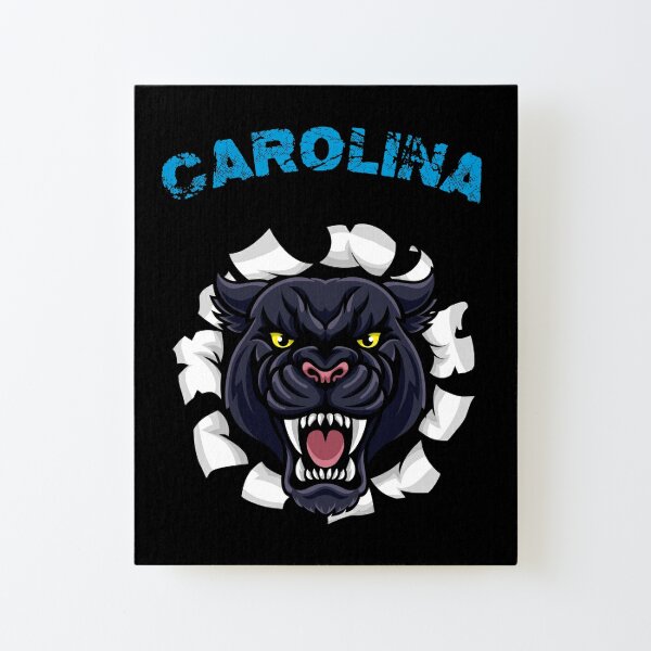 Diseño del logotipo de los Panthers de Carolina - Historia y significado