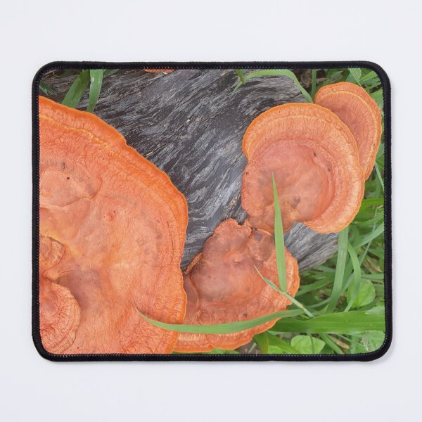 Item preview, Wood Log with Fungis Growing designed and sold by Bennymp.