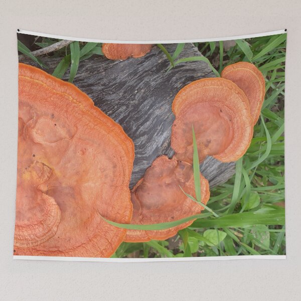Item preview, Wood Log with Fungis Growing designed and sold by Bennymp.