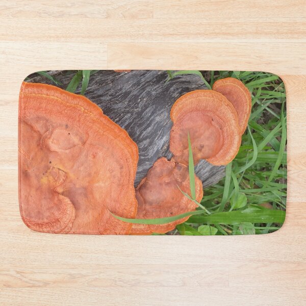 Item preview, Wood Log with Fungis Growing designed and sold by Bennymp.