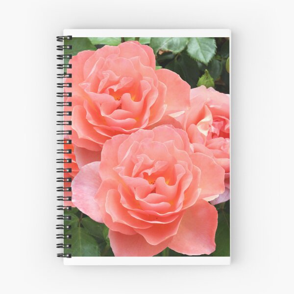 Item preview, Peach Colored Roses designed and sold by tomorrowsart.