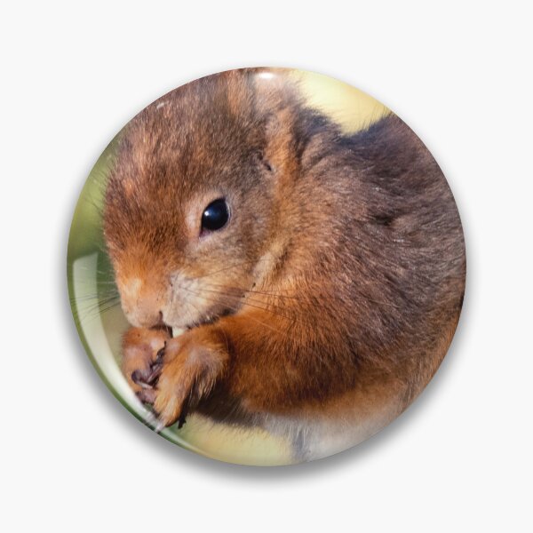 Item preview, Red Squirrel designed and sold by angieblue-25.