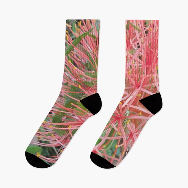 Item preview, Bulbo de flor rosa con hierba designed and sold by Bennymp.