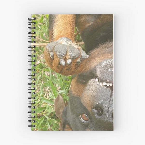 Item preview, Playful Rottweiler Lying Down - Dog designed and sold by Bennymp.