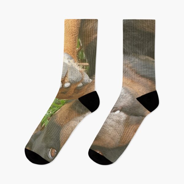Item preview, Playful Rottweiler Lying Down - Dog designed and sold by Bennymp.