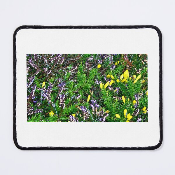 Item preview, Gorse and heather ... designed and sold by ART22.