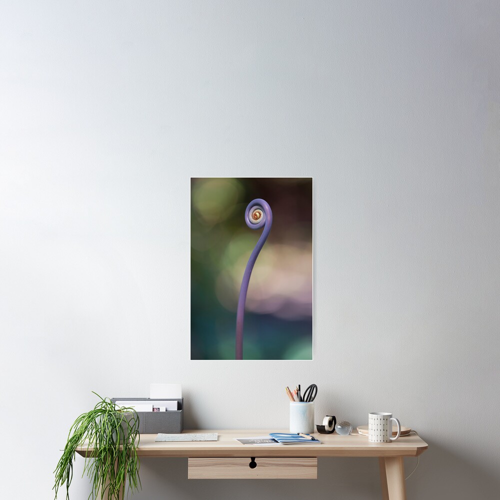 Uluhe (oo-loo-hay) fern Poster
