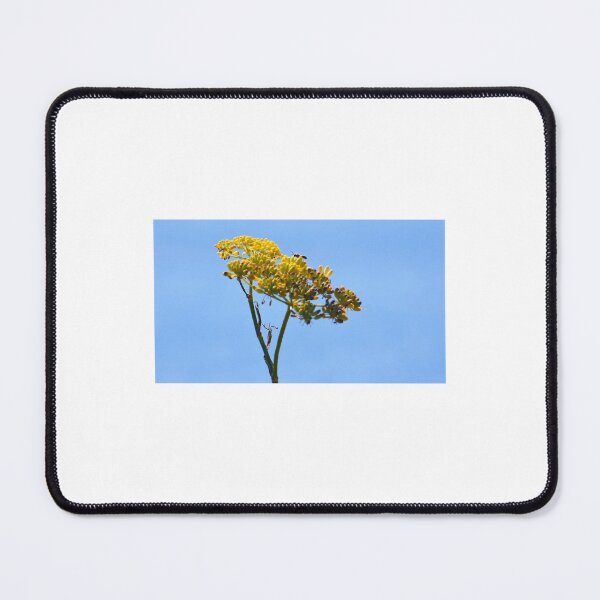 Item preview, Yellow umbrella designed and sold by ART22.