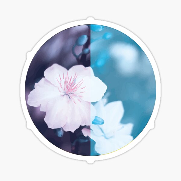 Vietnam Hoa Mai Yellow Apricot Blossom Lunar New Year Sticker