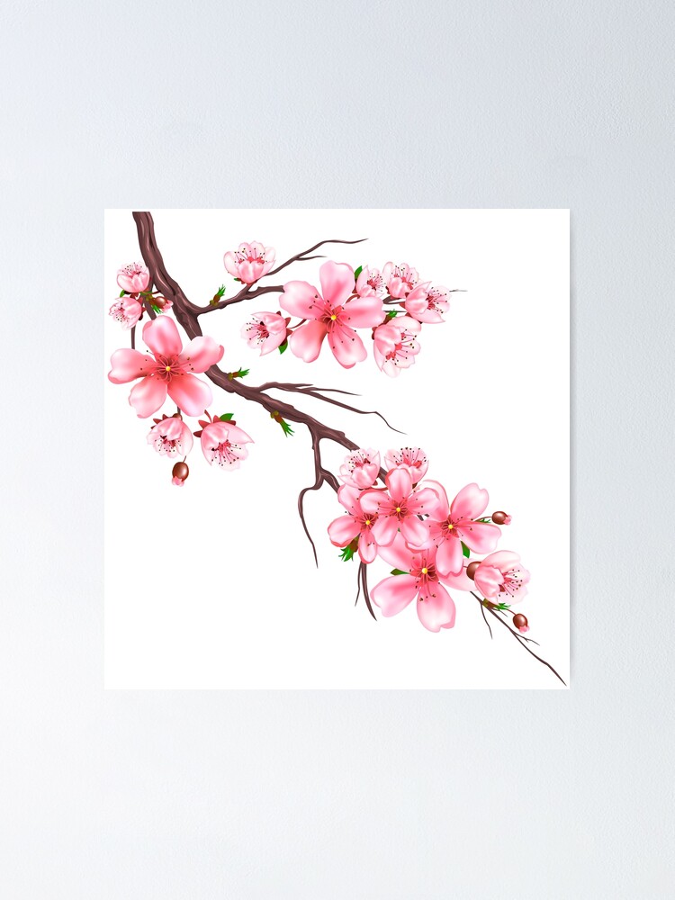 Sakura Cherry Blossom | Poster