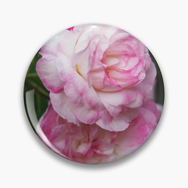Item preview, Summer Rose in Pink Shades designed and sold by tomorrowsart.