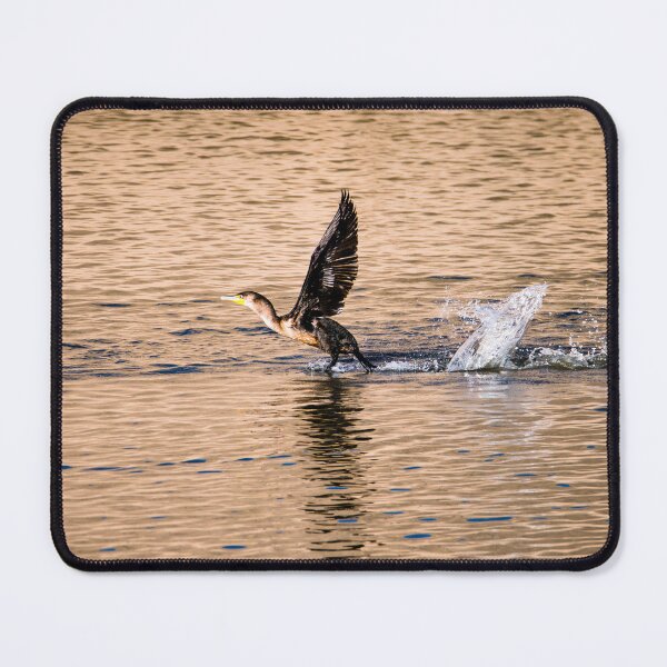 Item preview, Splash of a Landing by Debra Martz designed and sold by Debra Martz.