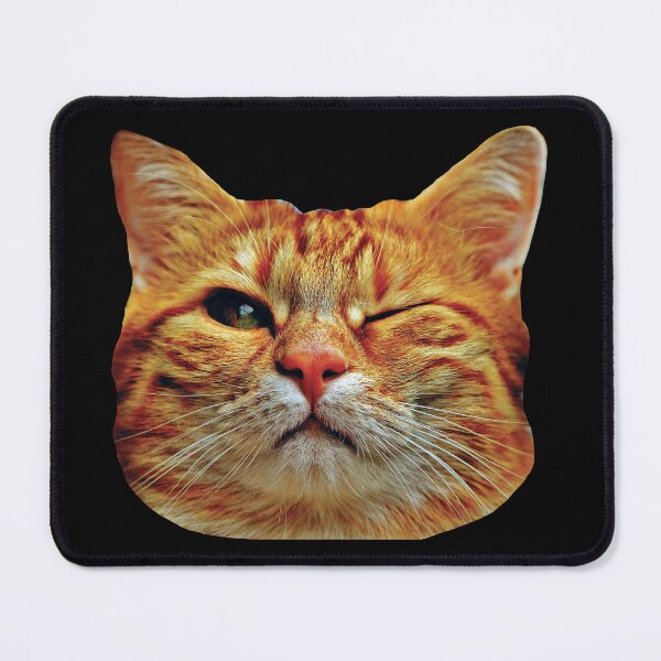 Item preview, Serious cat Winks designed and sold by stickmeok.