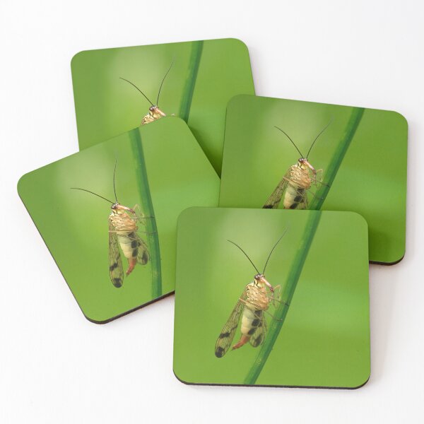 Item preview, Scorpion fly   designed and sold by Jouko Lehto Photography.