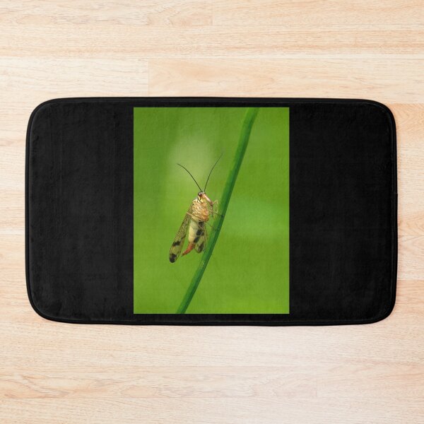 Item preview, Scorpion fly   designed and sold by Jouko Lehto Photography.