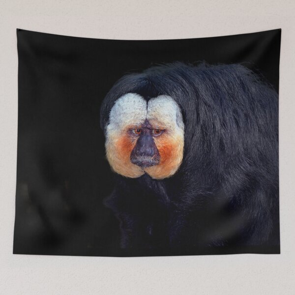 Item preview, Saki Monkey  designed and sold by Savannah Gibbs.