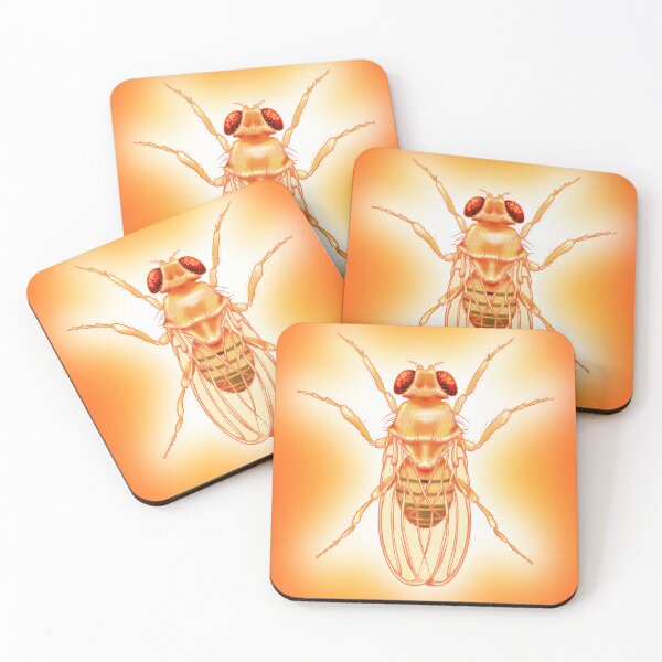 Item preview, Fruit Fly Illustration designed and sold by arianavilchis.