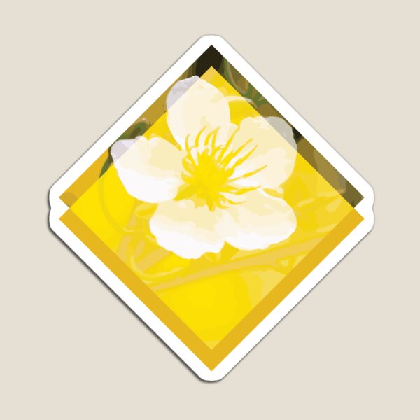 Hoa Mai Yellow Apricot Blossom Vietnam Lunar New Year Magnet