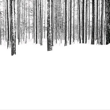 Artwork thumbnail, Winter barcode by Rashkin