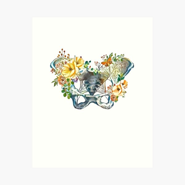 Item preview, Botanical anatomy pelvis Feminism, anatomy, anatomical art, female bones of the pelvis designed and sold by Collagedream.