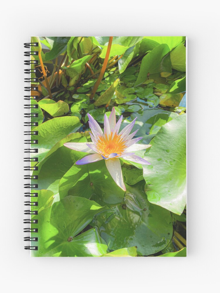 Cuaderno de espiral «Lirio de agua blanco y morado» de irisho27 | Redbubble