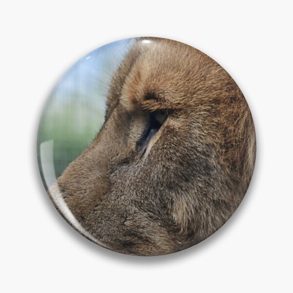 Item preview, Lion Portrait 1 designed and sold by Charles Oliver Creations.