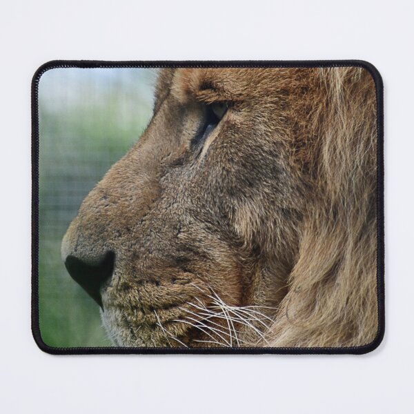 Item preview, Lion Portrait 1 designed and sold by Charles Oliver Creations.