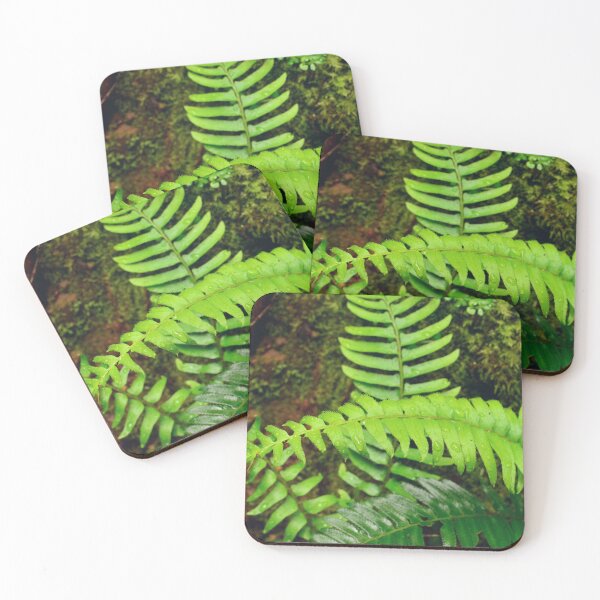 Item preview, Wet fern leaves | Rain in the tropical forest designed and sold by CarolinaReina.