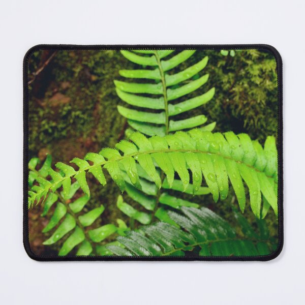 Item preview, Wet fern leaves | Rain in the tropical forest designed and sold by CarolinaReina.