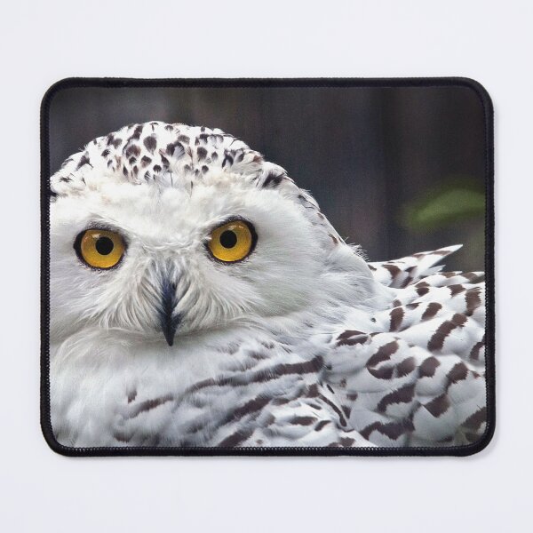 Item preview, Snowy Owl designed and sold by Gisele Bedard.