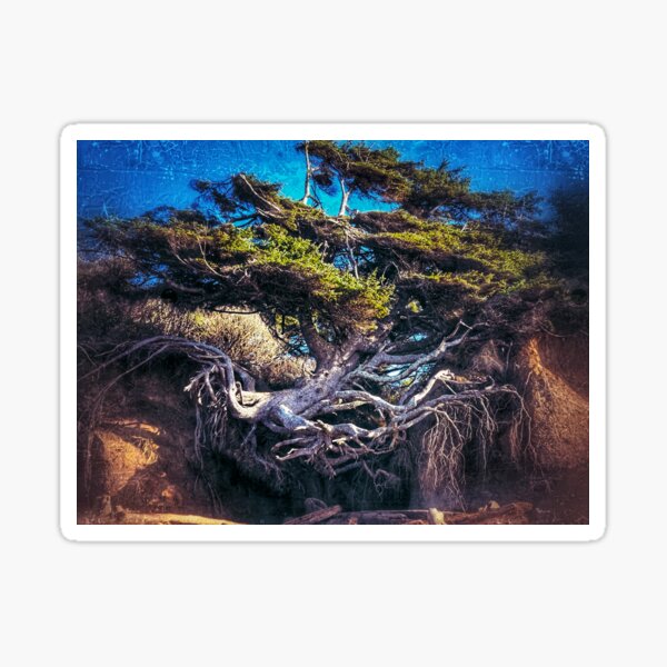 Item preview, Kalaloch Tree of Life Surreal designed and sold by Kirsten Ellingford.