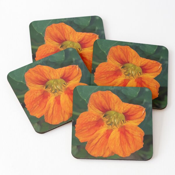 Item preview, Nasturtium designed and sold by amanda150771.