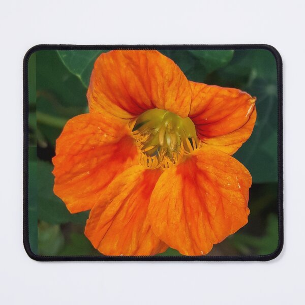 Item preview, Nasturtium designed and sold by amanda150771.
