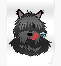 shaggy dog Poster