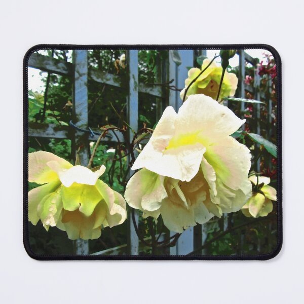 Item preview, Yellow roses in the rain designed and sold by Shulie1.