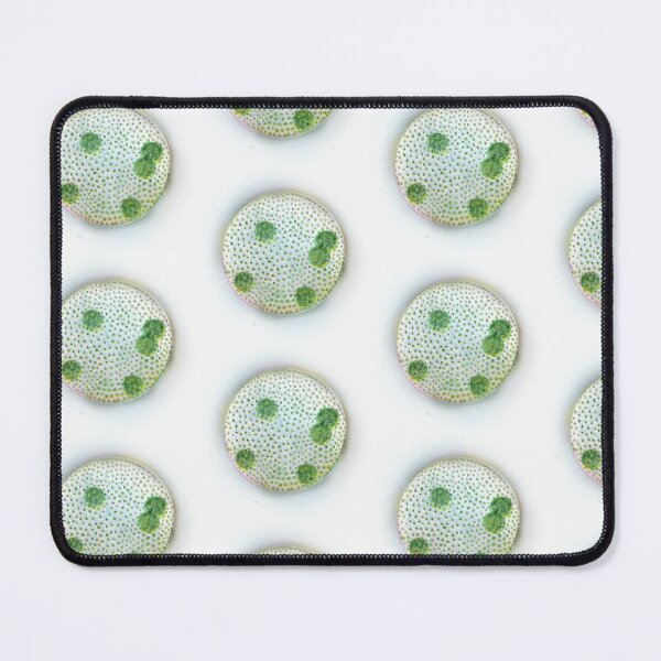 Item preview, Algae Volvox carteri designed and sold by coloringbookfac.