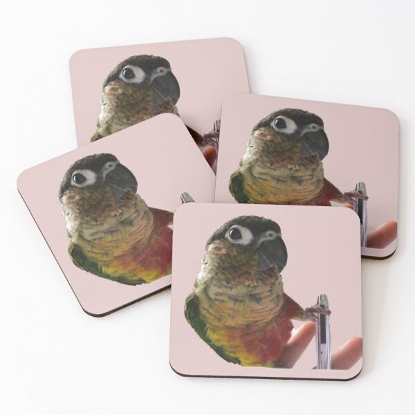 Item preview, Green Cheek Conure | Playing with parakeet | Conure parrot designed and sold by TatianaLG.
