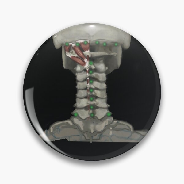 Item preview, Spinal connections designed and sold by coloringbookfac.