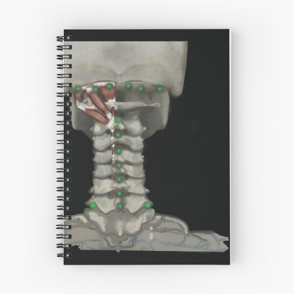 Item preview, Spinal connections designed and sold by coloringbookfac.