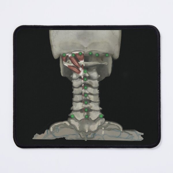 Item preview, Spinal connections designed and sold by coloringbookfac.