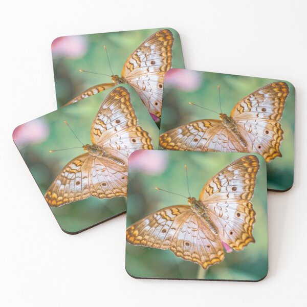 Item preview, Butterfly At the Cincinnati Krohns Conservatory designed and sold by DaveFilm.