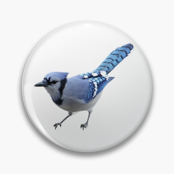 Artikelvorschau, Blue Jay Bird entworfen und verkauft von ArtWithHearts11.