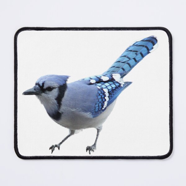 Item preview, Blue Jay Bird  designed and sold by ArtWithHearts11.