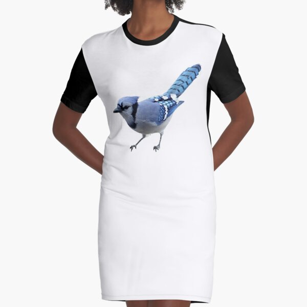  Blue ,Cyanocitta cristata bird ,Jays Bluejay T-Shirt :  Clothing, Shoes & Jewelry