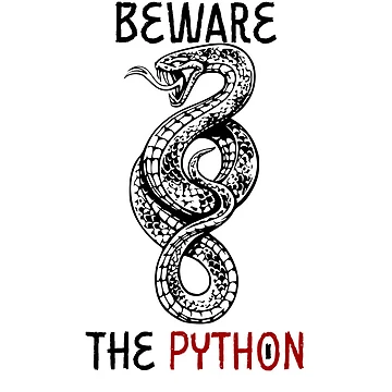 Artwork thumbnail, Beware The Python by Droidmcboyd