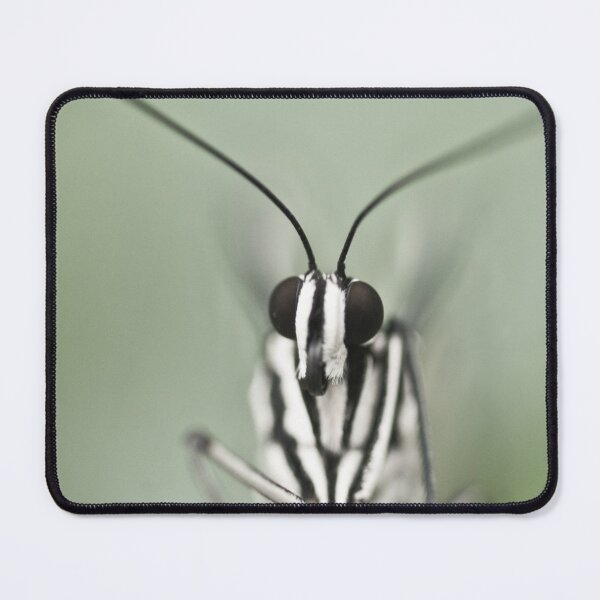 Item preview, Butterfly designed and sold by Gisele Bedard.