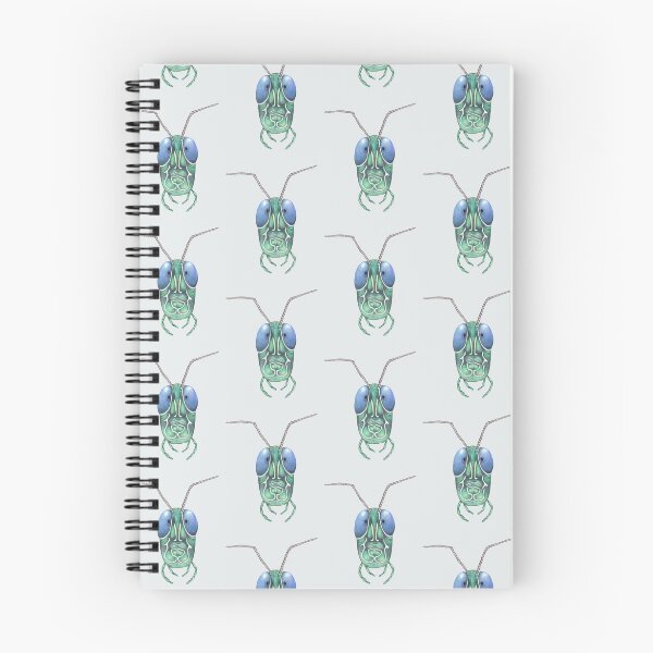 Item preview, Grasshopper.drawing designed and sold by Soulape.